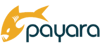 logo-payara